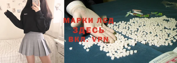 гашик Алексин