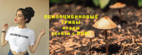 гашик Алексин