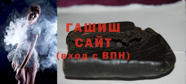 гашик Алексин
