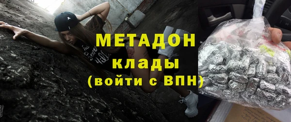 гашик Алексин