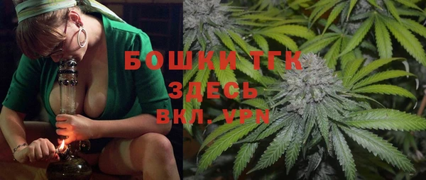 гашик Алексин