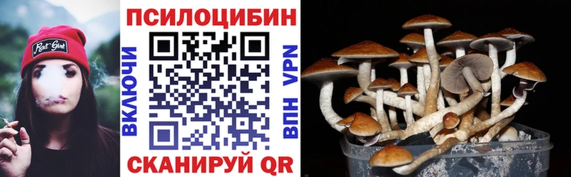 Псилоцибиновые грибы MAGIC MUSHROOMS  купить наркотики сайты  Зверево 